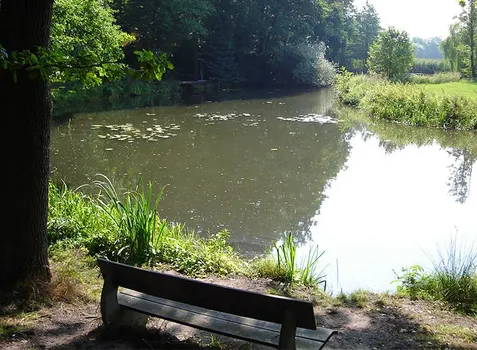 Campingurlaub am Fluss - Blick auf einen ruhigen Nebenarm mit Sitzbank