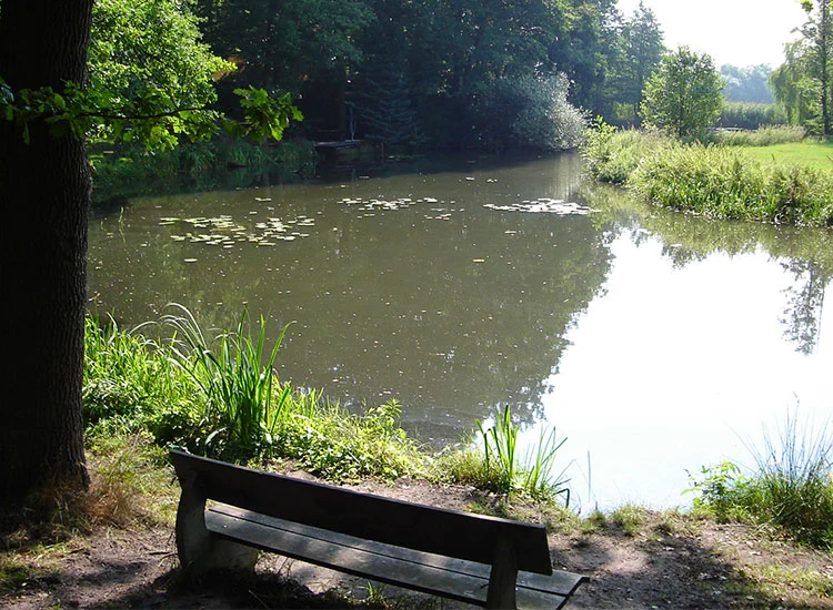 Campingurlaub am Fluss - Blick auf einen ruhigen Nebenarm mit Sitzbank